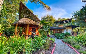 Tree House Beachfront Lodge